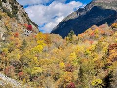 -叠溪松坪沟景区