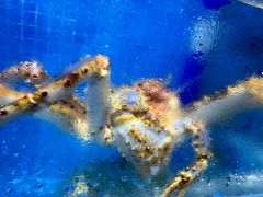 -前王院•巧克力海鲜市集餐厅(万平口店)