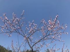 -婺源站