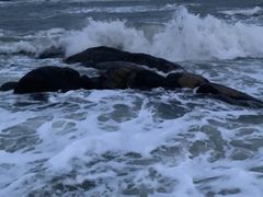 -日照灯塔风景区