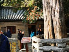 -青岛崂山太清宫