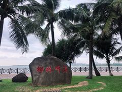 -万绿园