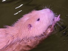 -正佳雨林生态植物园