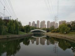 -四里河滨水生态公园