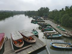 -东寨港红树林旅游区