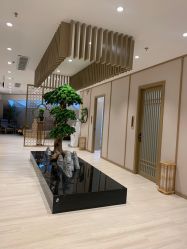 -HQ半永久纹绣纹眉