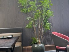 -苏淮景·苏闽融创菜·海鲜(原空港井河轩店)