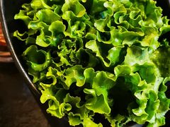 -九田家黑牛烤肉料理(太奥广场店)