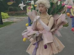 -荷兰花海