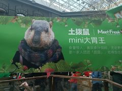 -凯德广场(学府店)