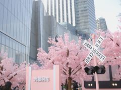 -金茂览秀城