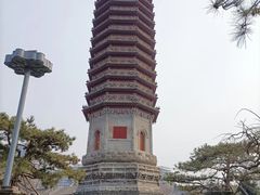 -西海子公园