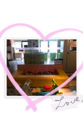 -小猴呦呦婴儿SPA游泳馆(小猴yoyo江北店)