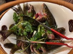 -老凯俚酸汤鱼(鸿通城店)
