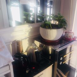 -绘甲社NACHO&DAI SALON