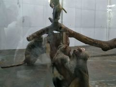 -西安秦岭野生动物园