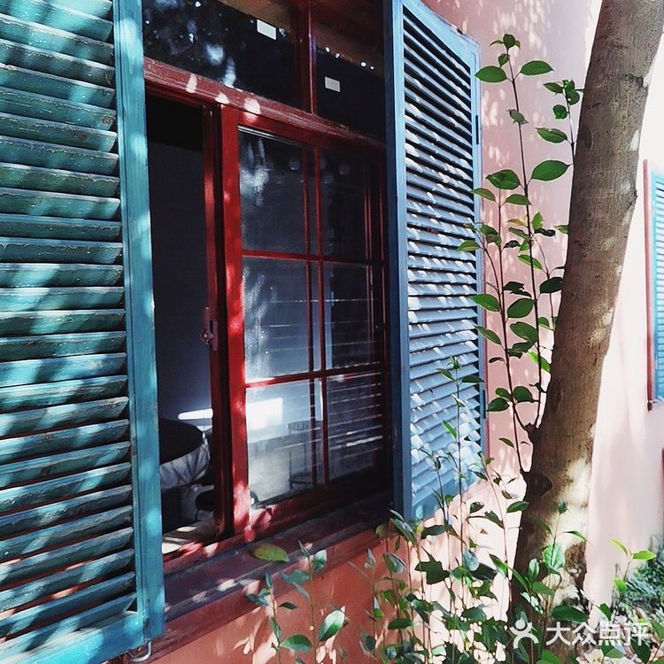 美食什么都有四季广场的花海是真的漂亮