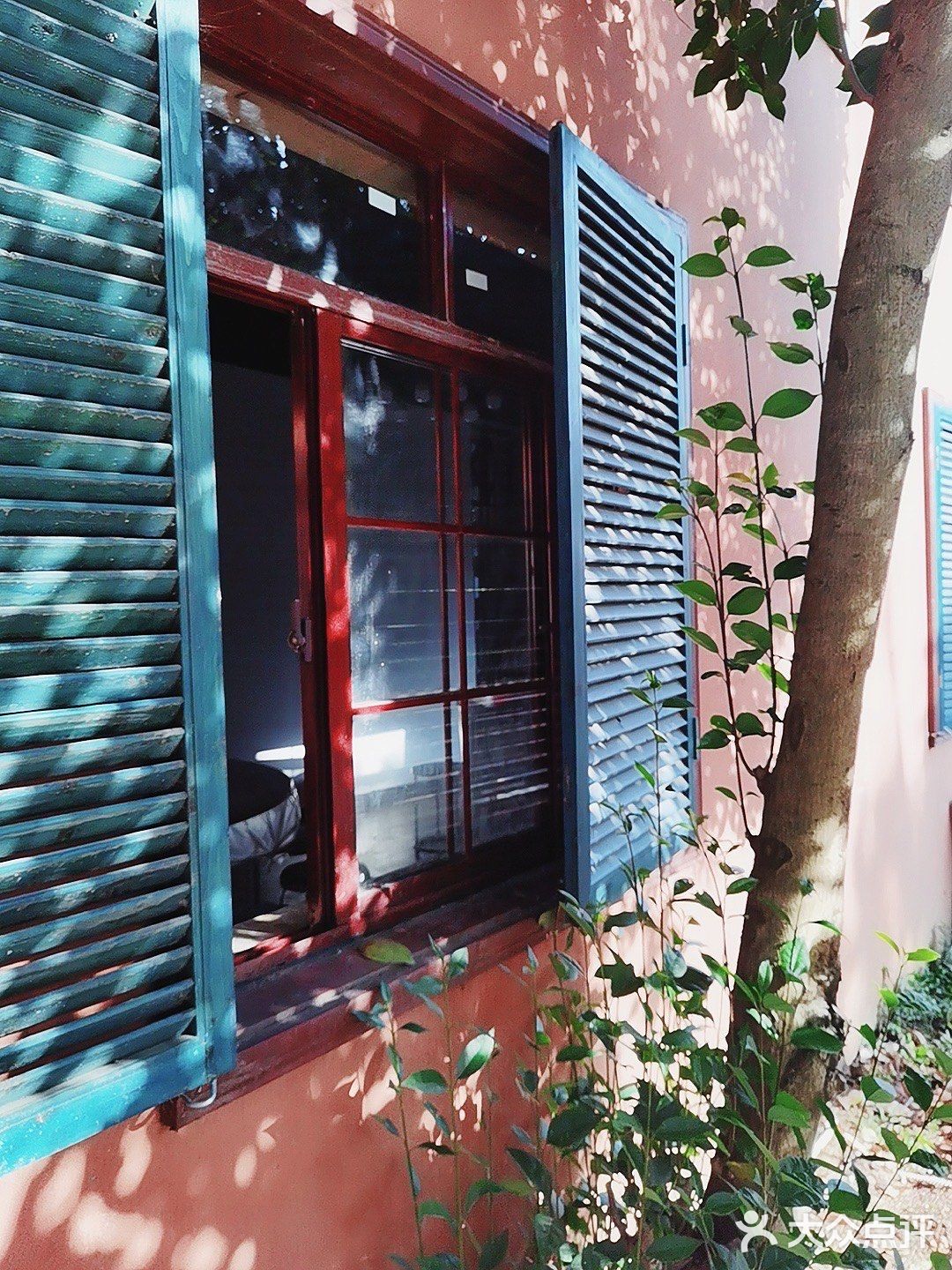 美食什么都有四季广场的花海是真的漂亮