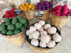 -大象粑粑造纸公园