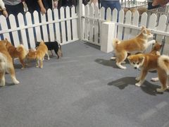 -东浩兰生上海世博展览馆