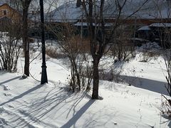 -横道河子东北虎林园