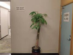 -花居轻奢酒店(苏州观前拙政园店)