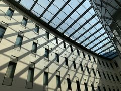 -首都医科大学附属北京天坛医院