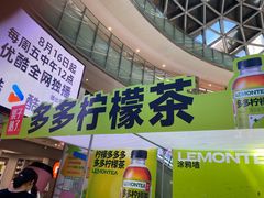 -鹏欣水游城