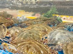 -田园居·佳宴(桑田路店)