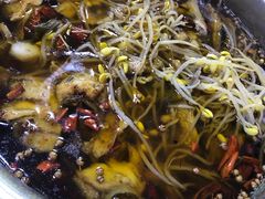 -光友小四川水煮鱼(鸭绿江街店)