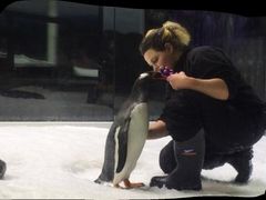 -悉尼海洋生物水族馆