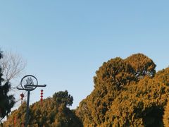 -七曲山风景区