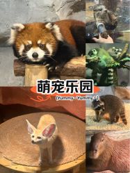 -Zoolung Zoolung动物主题公园(海信广场店)