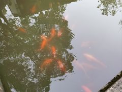 -丝绸小镇荻港古村