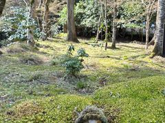 -三千院