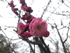 景点-林屋洞景区