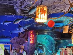 -烟台海昌鲸鲨海洋公园