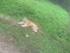 -西安秦岭野生动物园