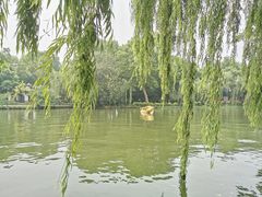 -柳浪闻莺公园