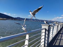 -海埂大坝
