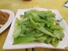 -鸿达渔港