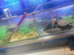 -V-ONE西雅图海鲜自助餐厅(仓山万达广场店)