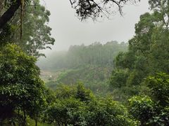 -火炉山森林公园