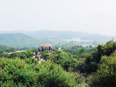 -大姆山草场