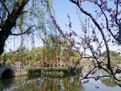 -无锡蠡湖国家湿地公园-蠡园