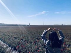 -南京枫彩漫城