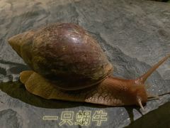 -漫笙舍Manse·咖啡·民宿