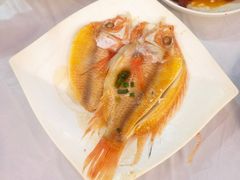 豆瓣酱煎炆小黄鱼-美居大酒楼(美居广场店)