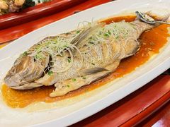 -铂丽斯国际大酒店-凯悦自助餐厅