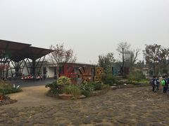 -上海长兴岛郊野公园